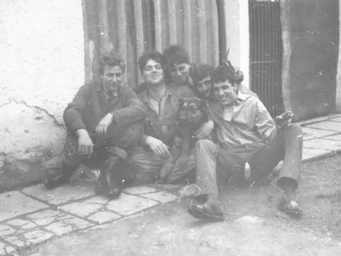 Foto 12
